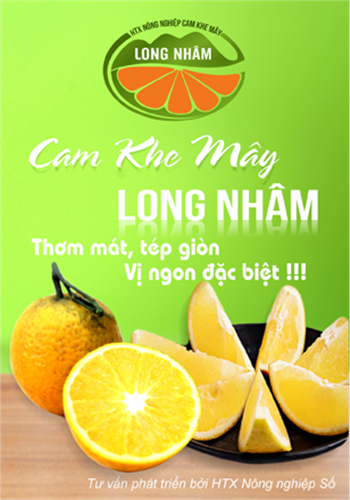 Tư vấn phát triển sản phẩm Cam Khe Mây theo chương trình OCOP