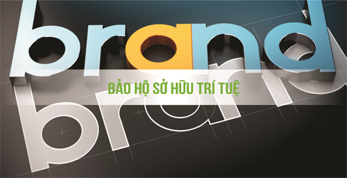 Bảo hộ sở hữu trí tuệ