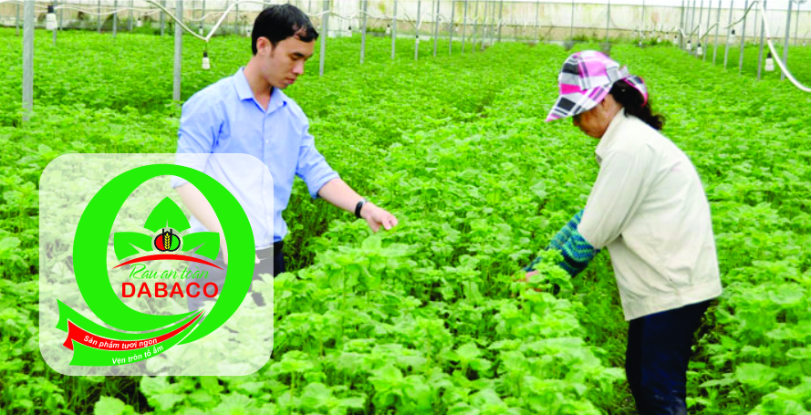 Phần mềm quản lý sản xuất và truy xuất nguồn gốc Rau an toàn Dabaco